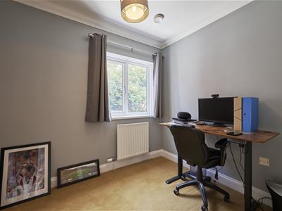 Picture 9